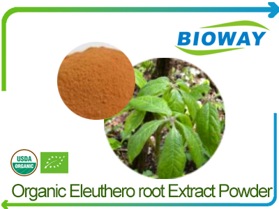 Organic Eleuthero Root Extract Powder