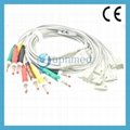 Philips TC Series Compatible EKG Leadwires
