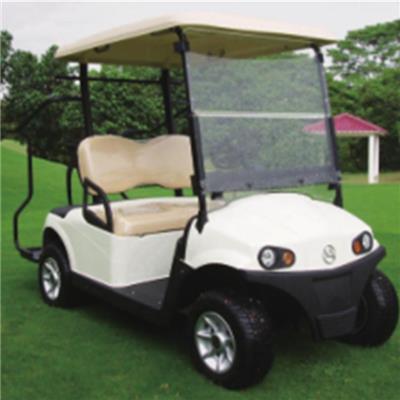 RD﹣2AC+D electric golf cart AC system standard configuration