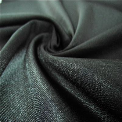 PLS1413-18 Spandex Glossy Fabric