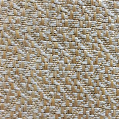 Woven Polyester Fabric for Shoes