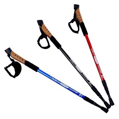 3 Sections Walking Poles