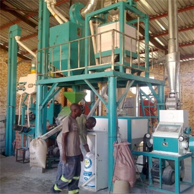 Zambia Maize Meal Machine 10T Per D