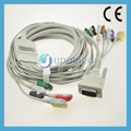 Schiller Compatible 10 Lead EKG Cable