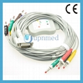 Philips Compatible 10 Lead EKG Cable