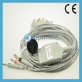 Kenz Cardioline Compatible 10 Lead EKG Cable