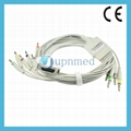 Fukuda Denshi Compatible 10 Lead EKG Cable