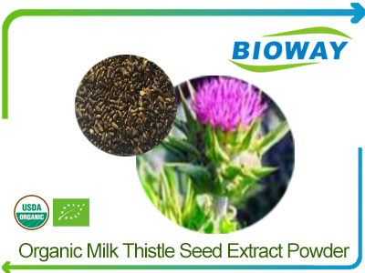 Organic Milk Thistle Seed Extract Powder