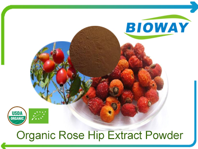 Organic Rose Hip Extract Powder