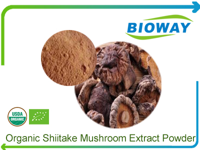Organic Shiitake Mushroom Extract Powder