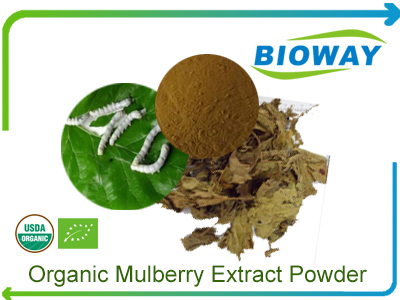 Organic Mulberry Extract Powder
