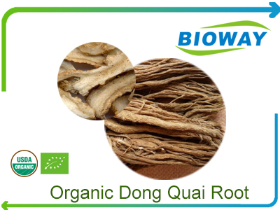 Organic Dong Quai