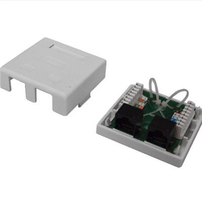 Wall Socket 2Port With UTP Cat5e PCB Module