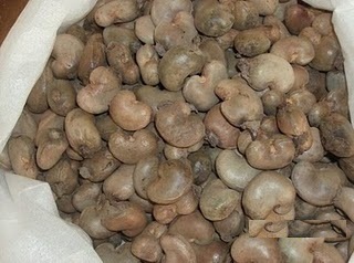 Raw cashew nuts available.