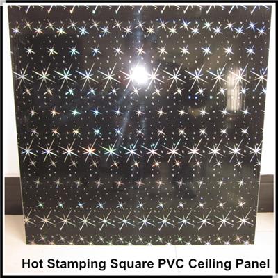 PVC Extrusion Panel