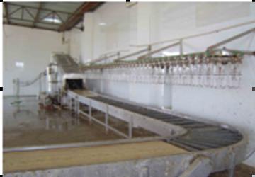 Living Poultry Hanging Manual Conveyor