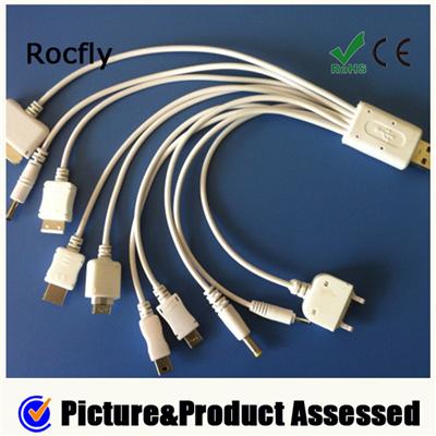 10 In 1 USB Cable