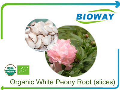 Organic White Peony Root