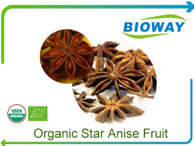 Organic Star Anise Fruit