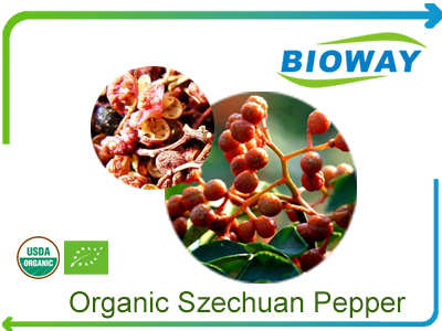 Organic Szechuan Red Pepper