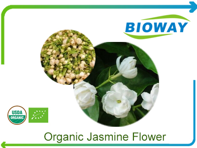 Organic Jasmine Flowers