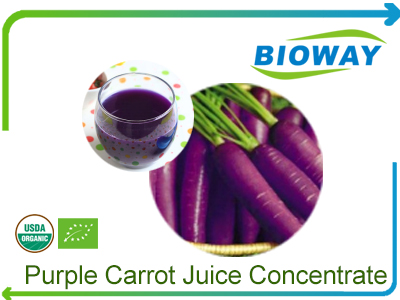 Organic Purple Carrot Juice Concentrate