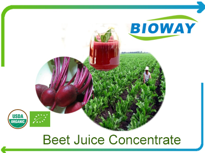 Organic Beet Root Juice Concentrate