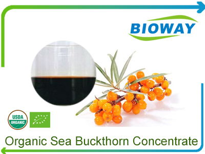 Organic Sea Buckthorn Concentrate