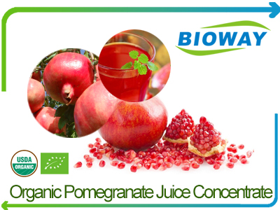 Organic Pomegranate Juice Concentrate