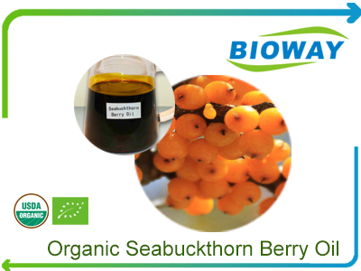 Organic Seabuckthron Fruit Oil
