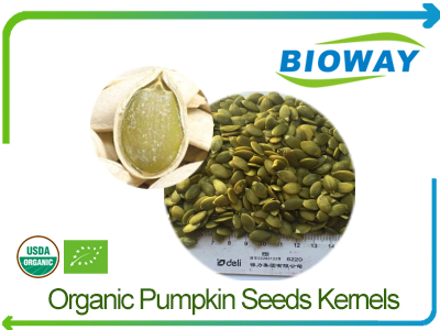 Organic Pumpkin Seeds Kernels
