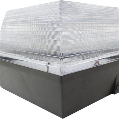 40 W Surface Mount Canopy