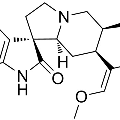 Corynoxine B