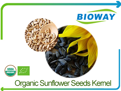 Organic Sunflower Seeds Kernels