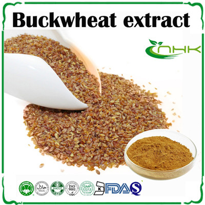 Buckwheat Extract