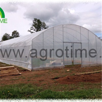 Cucumber Plastic Greenhouse