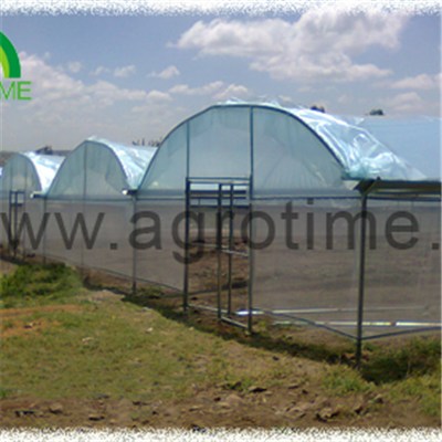 Mushroom Plastic Greenhouse