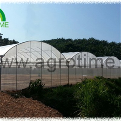 Multi Span Plastic Greenhouse