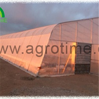 Single Tunnel Plastic Greenhouse