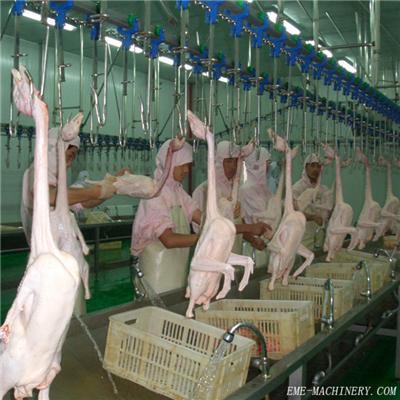 Poultry De-Boning Over Head Automatic Conveying System