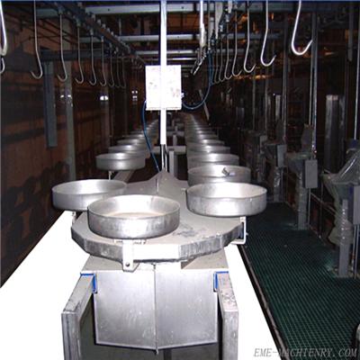 Pig White Viscera Ground Type Automatic Conveying System