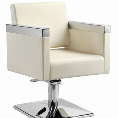 Salon Styling Chair With Stainless Steel Armrest