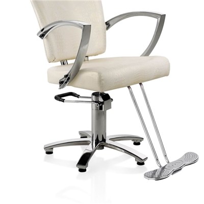 Hair Salon Styling Chair With Five Star Base