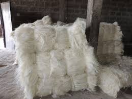 TOP QUALITY SISAL FIBRE FROM KENYA. BEST PRICE