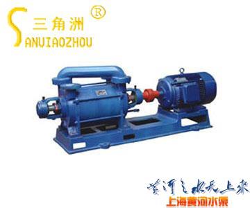 2SK Twin-stage Water Ring Vacuum Pump