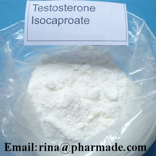  Pure Testosterone Isocaproate Anabolic Steroid from 