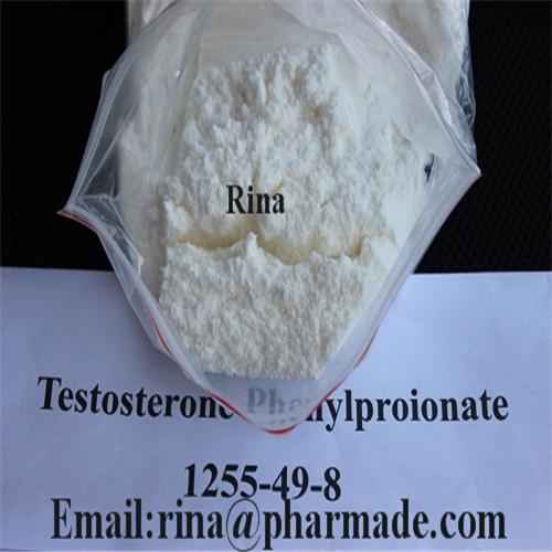 Muscle Gain Testosterone Phenylpropionate Anabolic Steroid from 