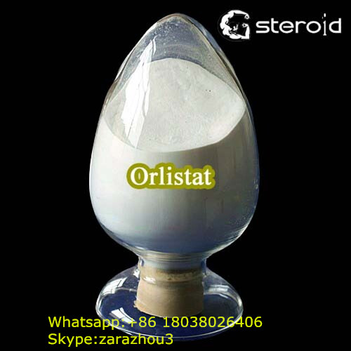Orlistat Weight Loss Raw Powder from 
