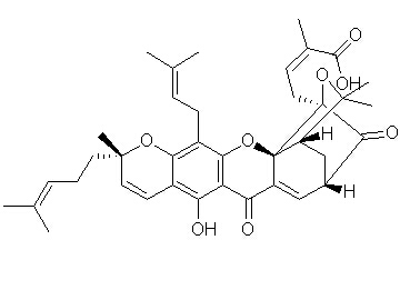 S-Gambogic Acid