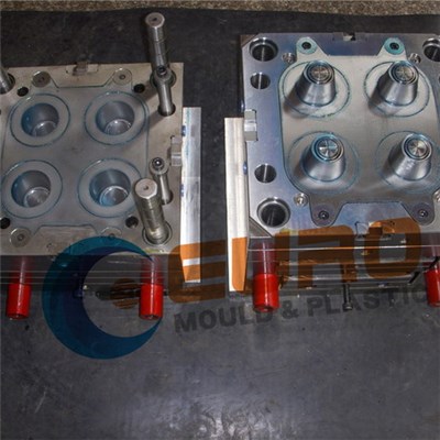 Snap On Cap Mould
